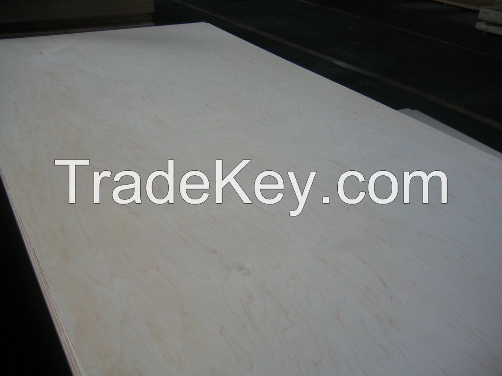 White maple Plywood, poplar core, E2 glue