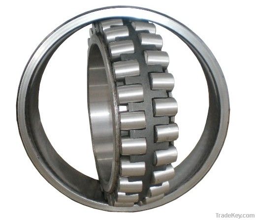 25X47X12mm Cylindrical roller bearing NSK NU1005