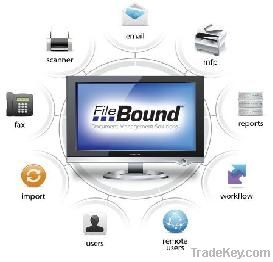 Electronic Document Management Systems