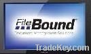 Document Management Systems FileBound