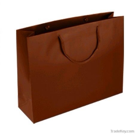 Shopping Paper bag
