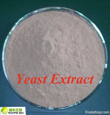 yeast extract (low salt)