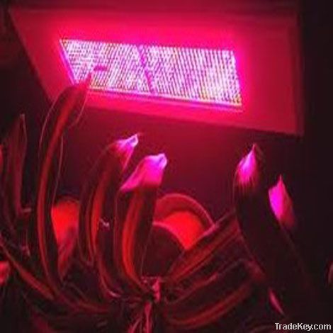 300w led grow light