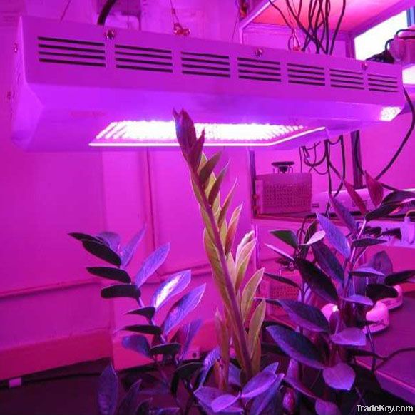 300w led grow light