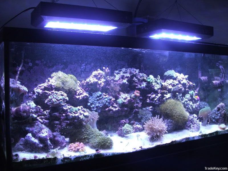90w led aquarium light for croal