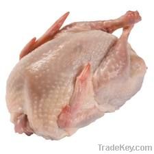 Quail meat