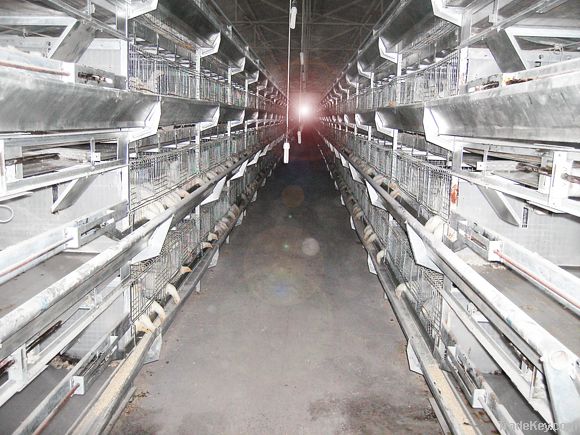 H type battery cage