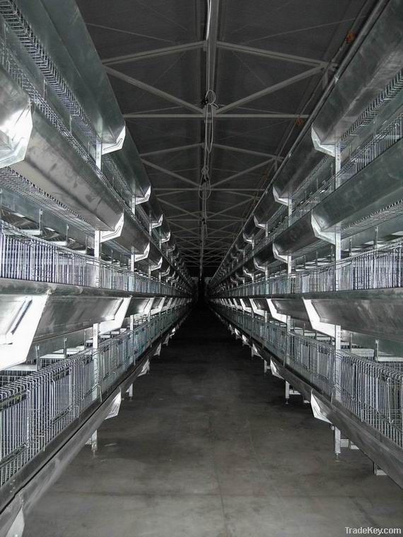 H type pullet raising equipment