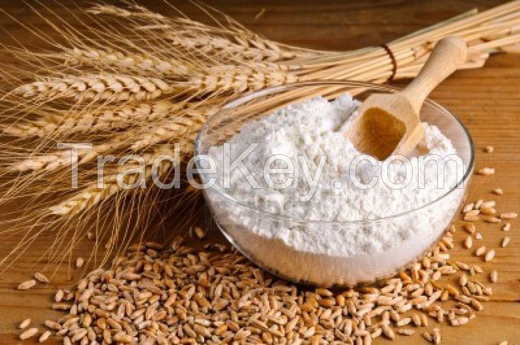 Wheat Flour 