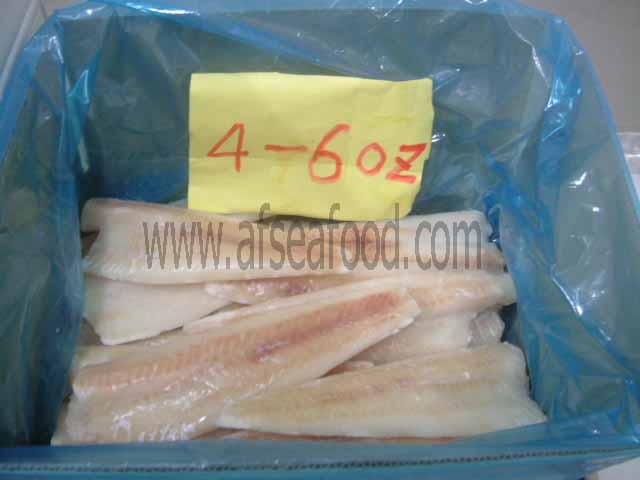 FROZEN ALASKA POLLOCK FILLET