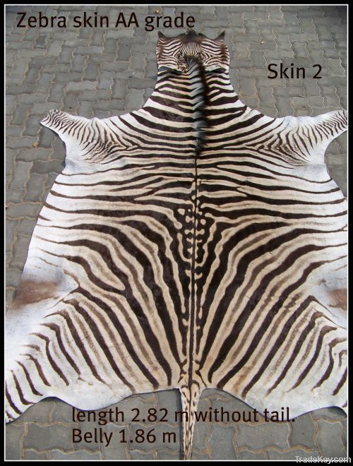 Zebra rugs
