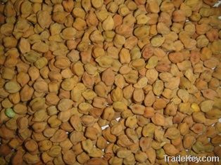 Australian Desi Chcikpeas,desi chickpeas suppliers,desi chickpeas exporters,desi chickpeas manufacturers,desi chickpeas traders