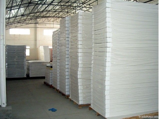 Adhesive paper foam board