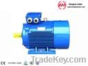 HMI (Y2) series cast iron housing motor