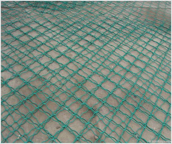 Beautiful Grid Wire Mesh(professional factory, competitive price)