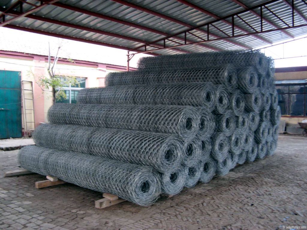 electro and hot dipped galvanized hexagonal wire mesh