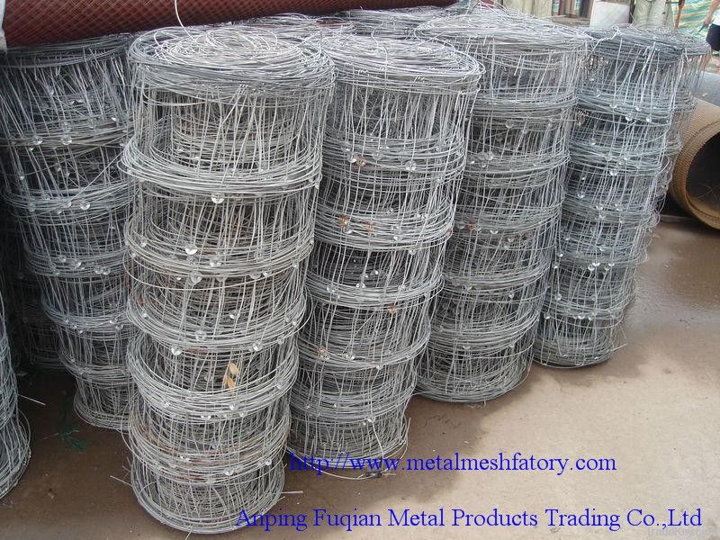 hot sale prairie fence wire mesh(factory price)