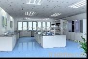 laboratory project