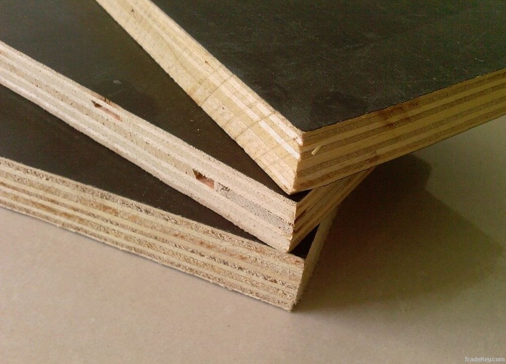 Brown Film Faced Plywood for Building