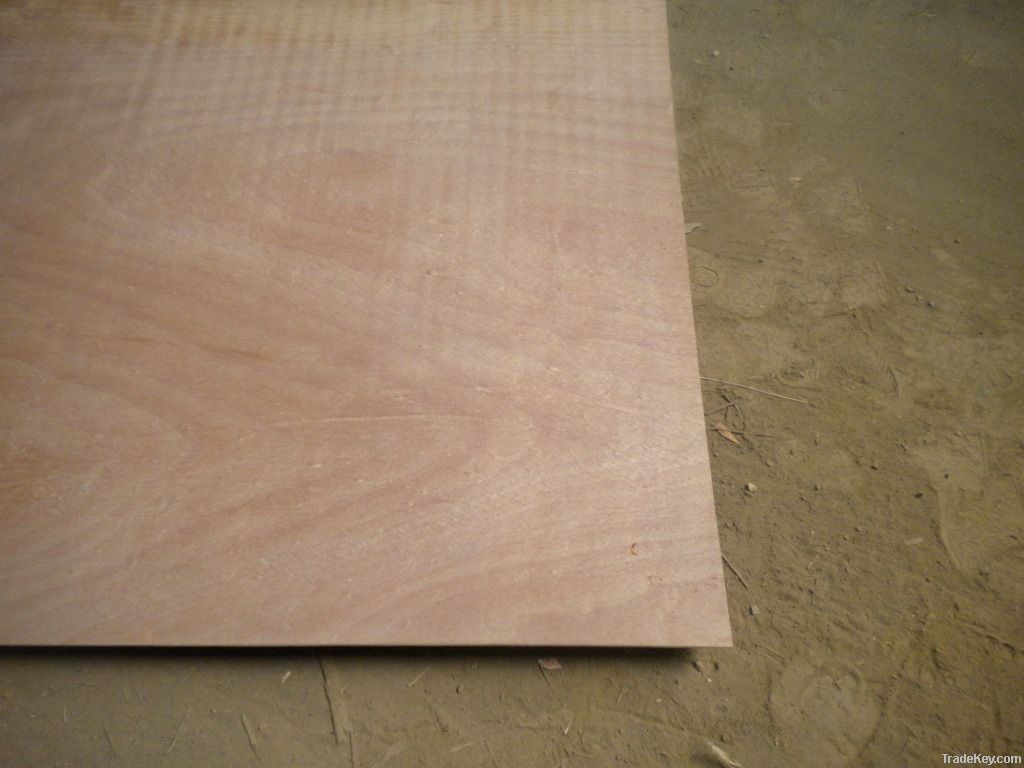 poplar core okoume plywood
