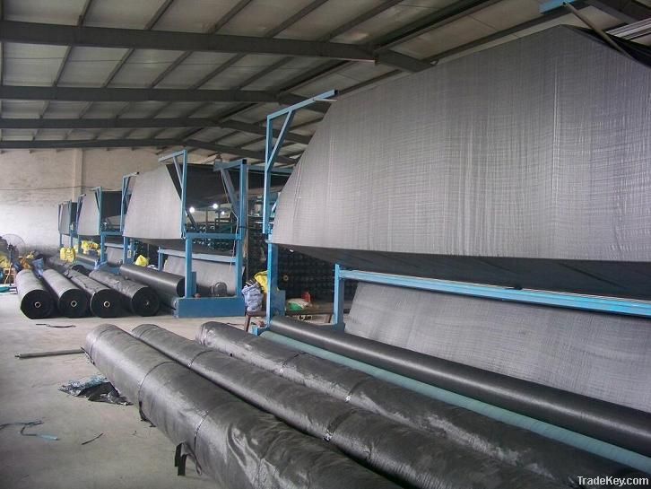 PP Woven Geotextile