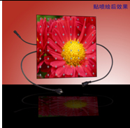 LED Picture module