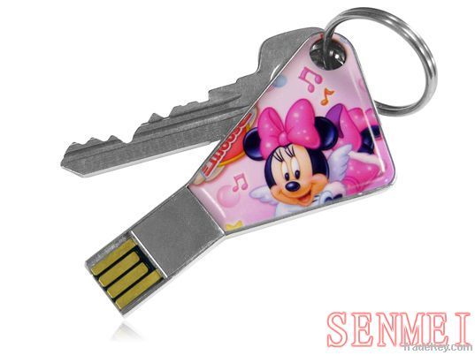 OEM USB Key (FDK03)