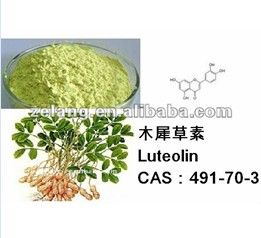 Plant Extract Luteolin 98% C15H10O6 CAS:491-70-3