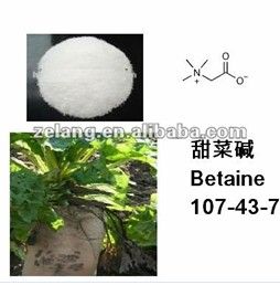 Plant Extract Betaine 98% C5H11NO2 CAS:107-43-7