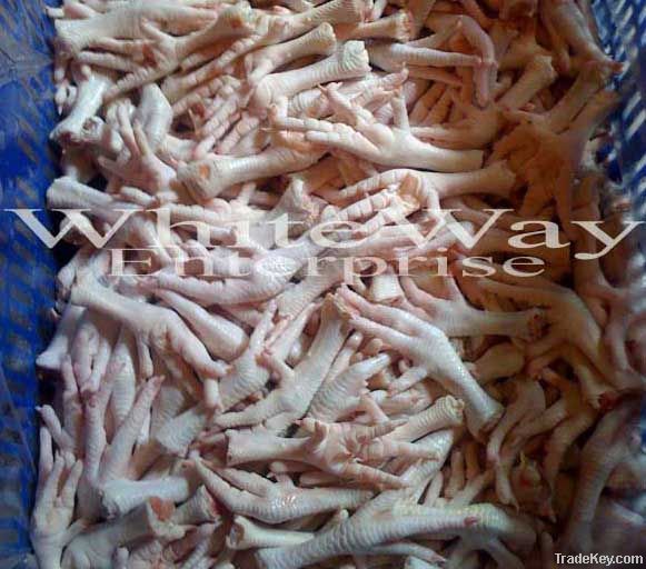 Export Chicken Paw | Chicken Feet Suppliers | Chicken Paw Exporters | Chicken Feets Traders | Processed Chicken Paw Buyers | Frozen Chicken Paw Wholesalers | Low Price Freeze Chicken Paw | Best Buy Chicken Paw | Buy Chicken Paw | Import Chicken Paw | Chic