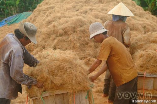 coconut fiber