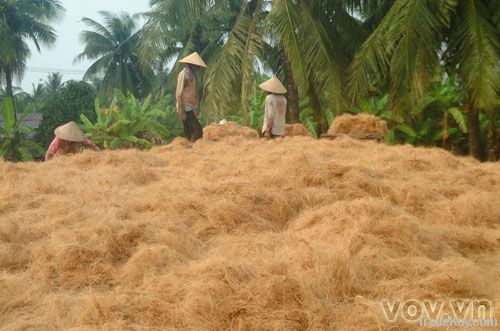 coconut fiber