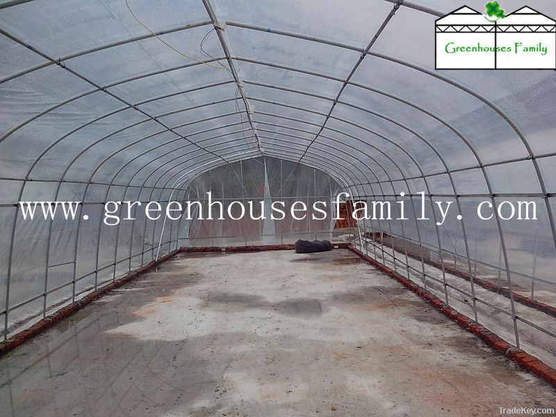 Popular Single-span Tunnel Agriculture Greenhouse