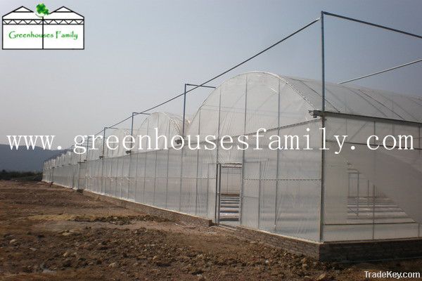 Hot Selling Multi-span Agriculture Commercial Greenhouse