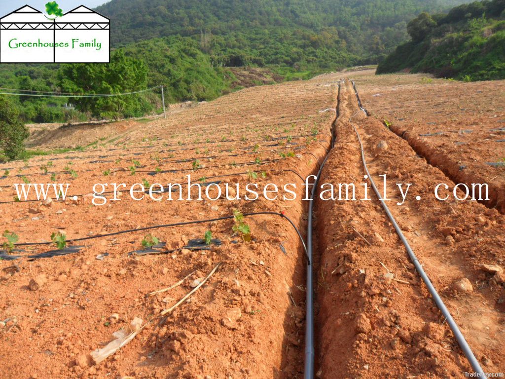 Water-saving Greenhouse Drip Irrigation System