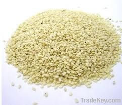 Sesame Oil