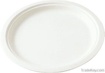 biodegradable disposable tableware--10inch pulp plate