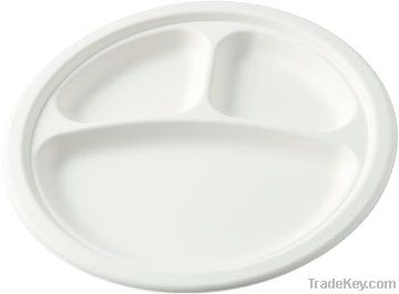 biodegradable disposable tableware--9inch plate with food sapce