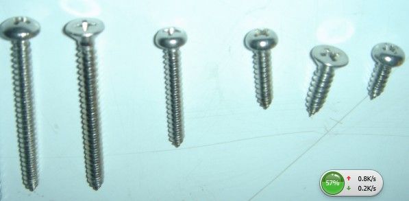 stainless steel self tapping screw 