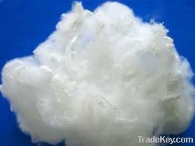 polyester fibre