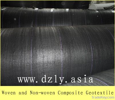PP woven and PET non-woven composite geotextile