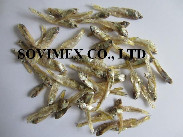 dried anchovy fish