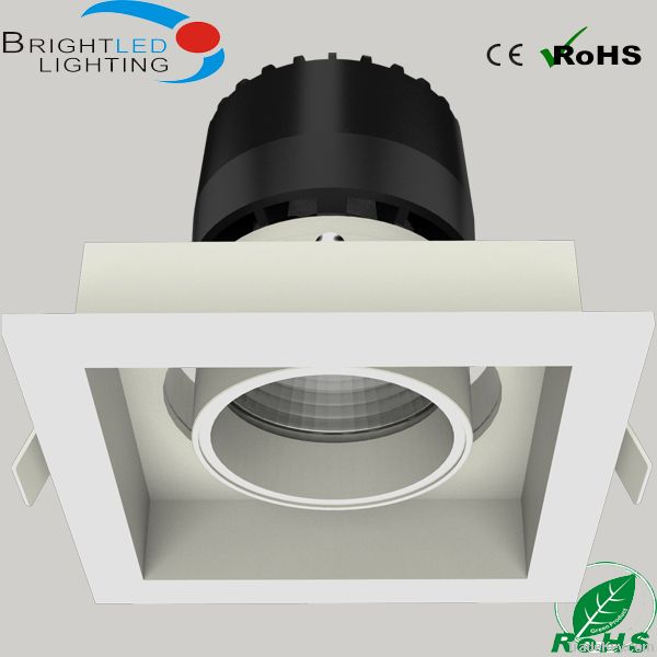 2013 New Product! Bridgelux COB LED Ceiling Light, LED Down Light