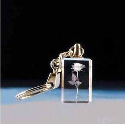 2012 hottest 3d key chian, newest keyring , latset keyhold, accessory