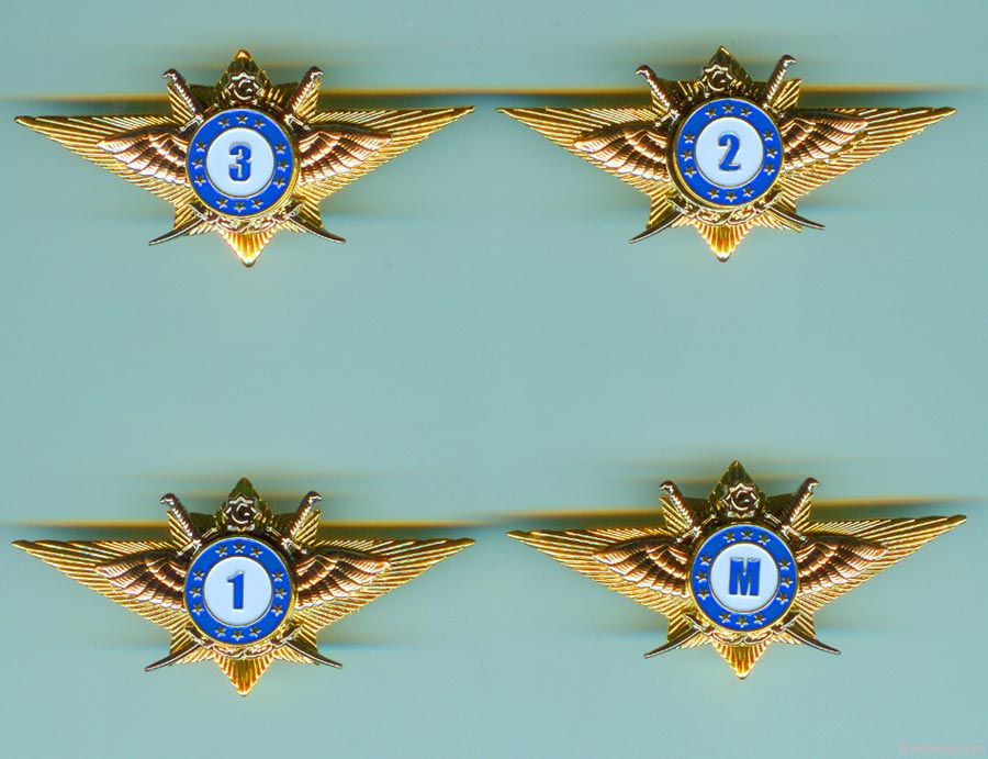 metal badge /irregular shape badge /five-pointed star/military bagde