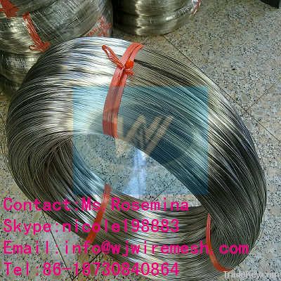 Stainless Steel Wire/Galvanized Wire