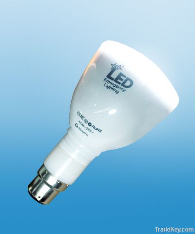CE 3W Rechargeable Bulb