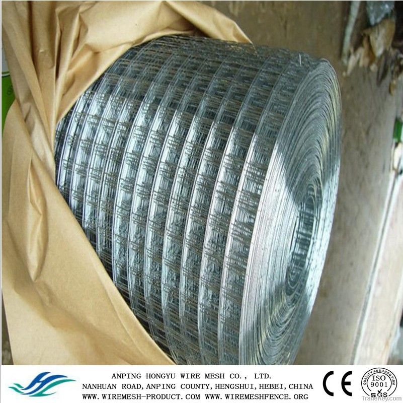 ELECTRIC GALVANIZED WELDED WIRE MESH