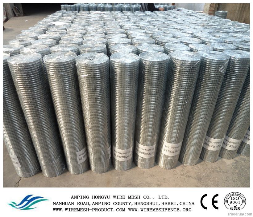STAINLESS STEEL  WELDED WIRE MESH
