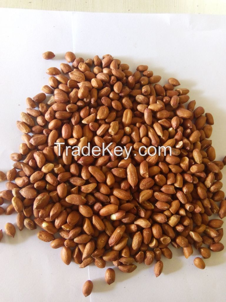 peanuts, ground nut, Indian peanuts supplier